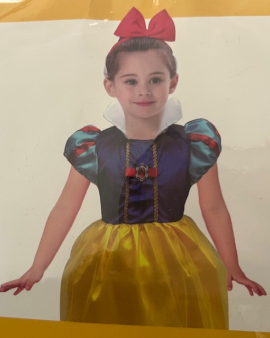 Disfarce Princesa 4-7 Anos