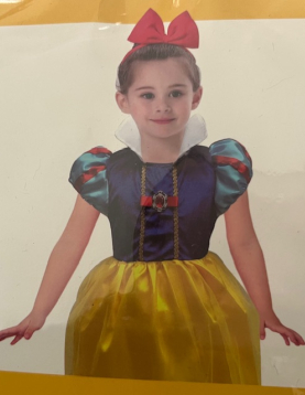 Disfarce Princesa 4-7 Anos