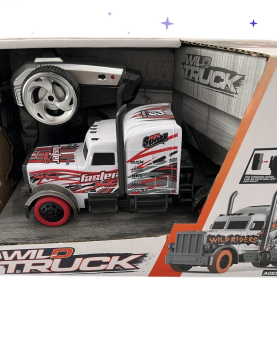 Carro r/c Wild truck 1:16